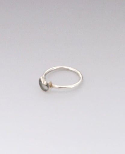 Dainty Labradorite Moon Crescent Stainless Steel Ring