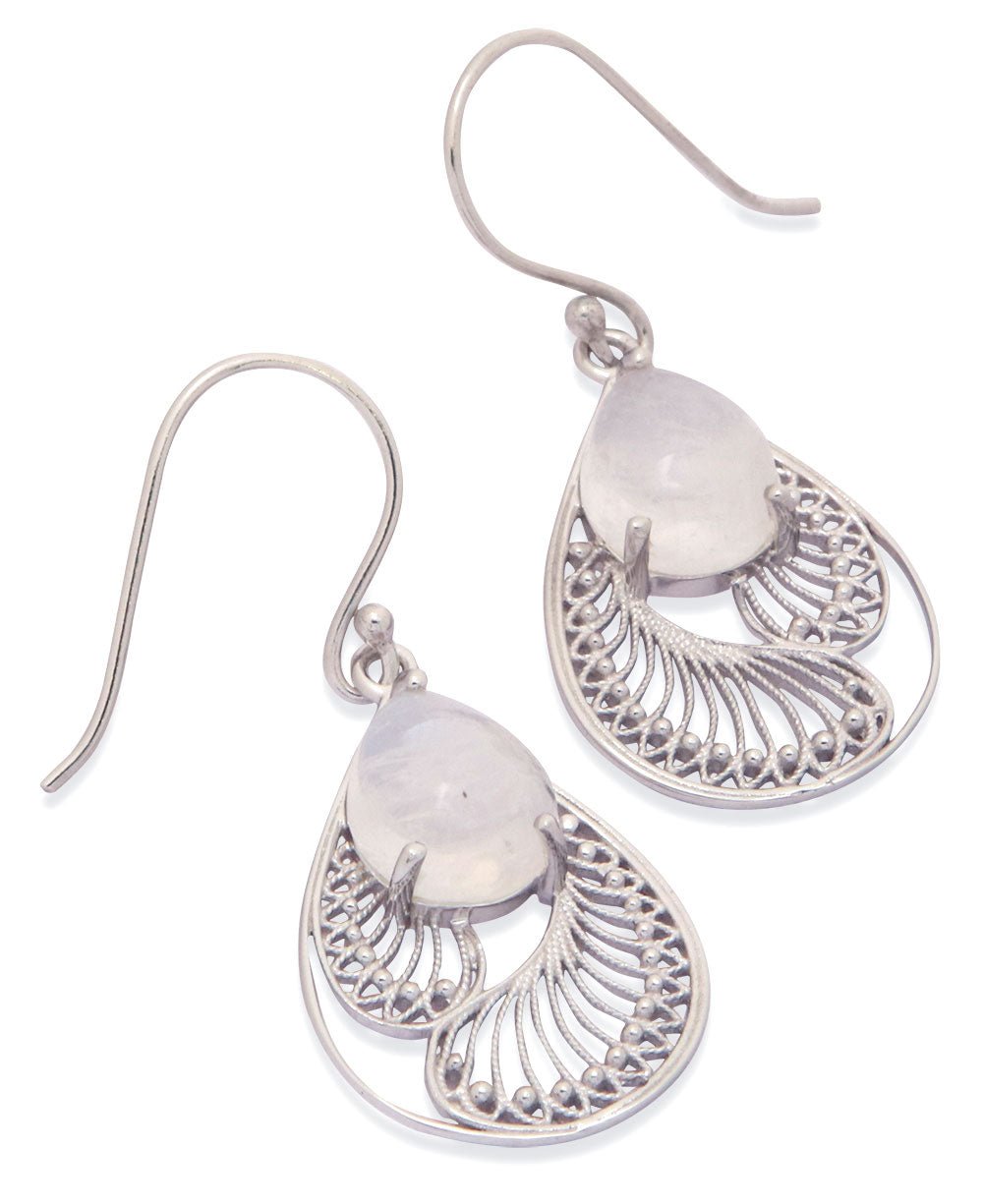 Stainless Steel Rainbow Moonstone Earrings In Feather Design